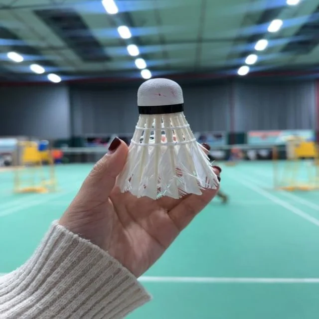 赛事资讯最新动态汇总：体育新闻全景解析